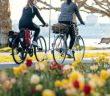 Blütenpracht am Bodensee: Dem Wein entlang (Foto: Leo Leister)